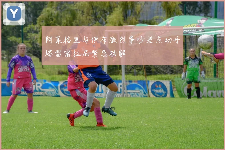 阿莱格里与伊布激烈争吵差点动手塔雷富拉尼紧急劝解